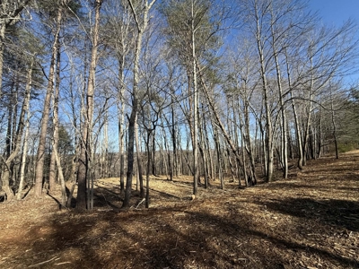 Building Lot Available at Spring Creek Airpark! - image 2