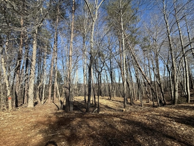 Building Lot Available at Spring Creek Airpark! - image 1
