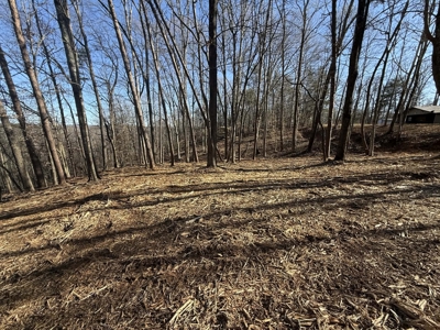 Building Lot Available at Spring Creek Airpark! - image 9