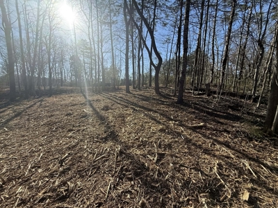 Building Lot Available at Spring Creek Airpark! - image 12