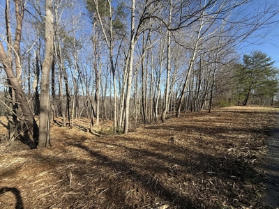 Building Lot Available at Spring Creek Airpark! - image 3