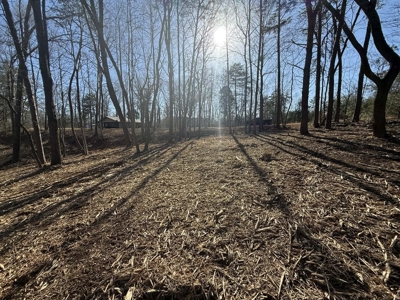Building Lot Available at Spring Creek Airpark! - image 11