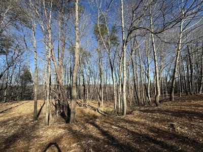 Building Lot Available at Spring Creek Airpark! - image 5