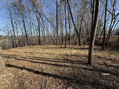 Building Lot Available at Spring Creek Airpark! - image 6