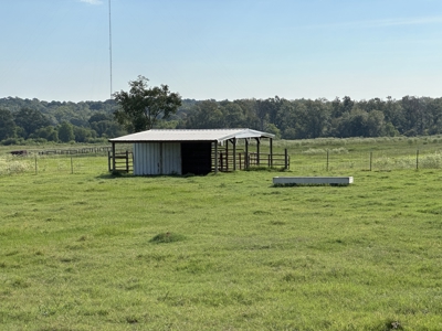 East Texas Mobile Home and Acreage For Sale - image 21