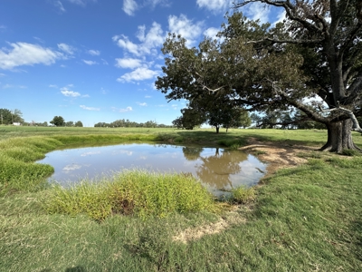 East Texas Mobile Home and Acreage For Sale - image 19