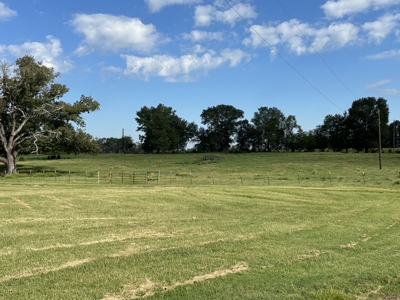 East Texas Mobile Home and Acreage For Sale - image 2