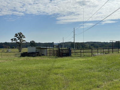 East Texas Mobile Home and Acreage For Sale - image 18