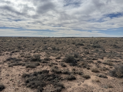 Land Close to Power in Sun Valley AZ - image 6
