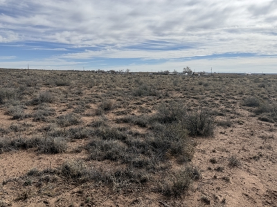 Land Close to Power in Sun Valley AZ - image 5
