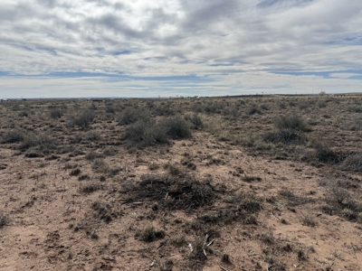Land Close to Power in Sun Valley AZ - image 3