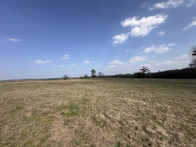 East Texas Hunting/Recreational Land For Sale - image 3