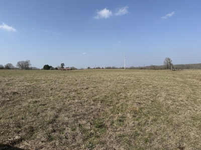 East Texas Hunting/Recreational Land For Sale - image 11