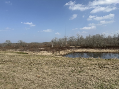 East Texas Hunting/Recreational Land For Sale - image 10