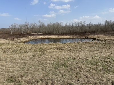 East Texas Hunting/Recreational Land For Sale - image 9