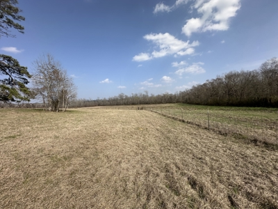 East Texas Hunting/Recreational Land For Sale - image 7