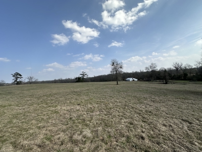 East Texas Hunting/Recreational Land For Sale - image 2