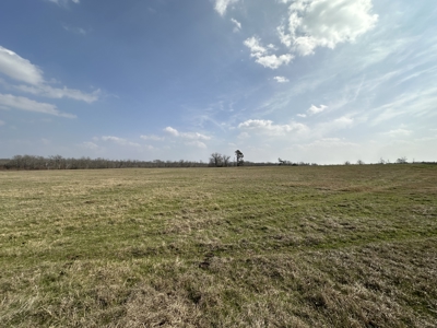 East Texas Hunting/Recreational Land For Sale - image 14