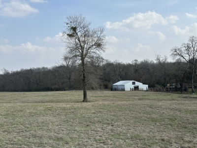 East Texas Hunting/Recreational Land For Sale - image 1