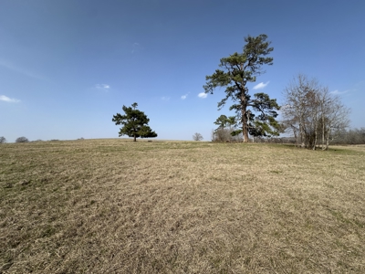 East Texas Hunting/Recreational Land For Sale - image 6
