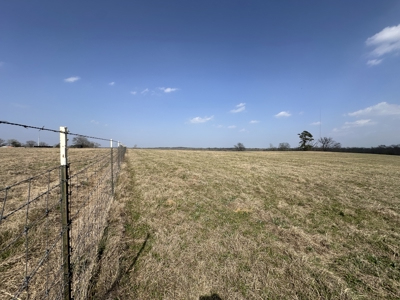 East Texas Hunting/Recreational Land For Sale - image 4
