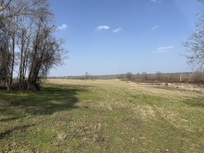 East Texas Hunting/Recreational Land For Sale - image 8