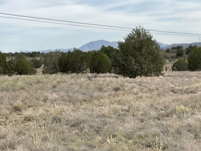 Land with a Well for Sale in Paulden AZ - image 3