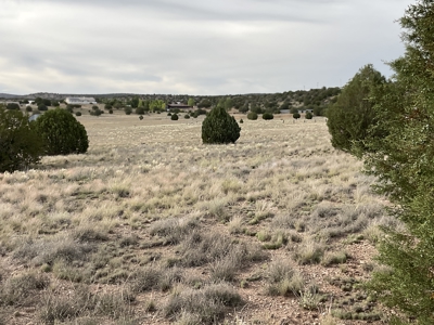 Land with a Well for Sale in Paulden AZ - image 6