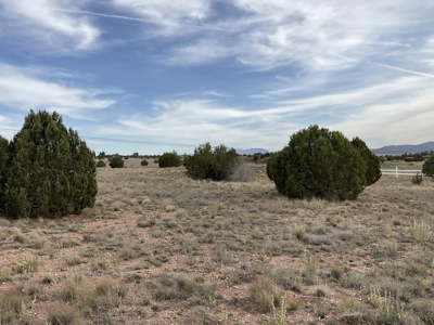 Land with a Well for Sale in Paulden AZ - image 4