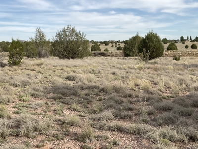 Land with a Well for Sale in Paulden AZ - image 5
