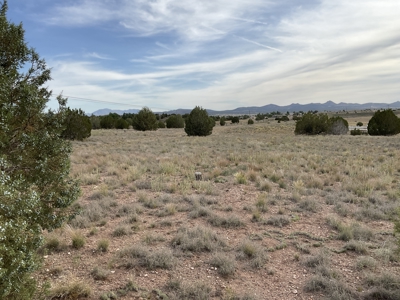 Land with a Well for Sale in Paulden AZ - image 1