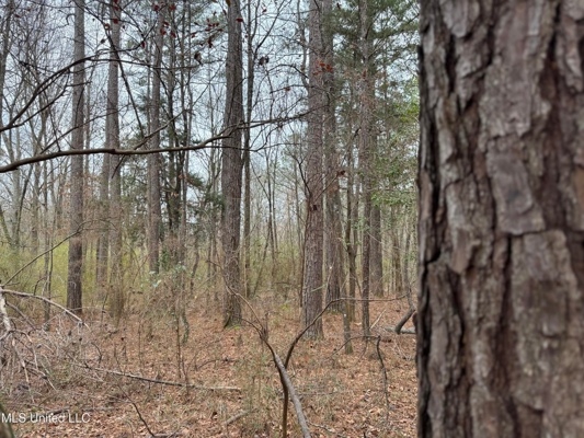 Residential Lot for Sale in Pearl, MS