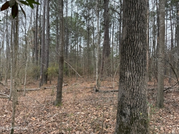 Listing 207