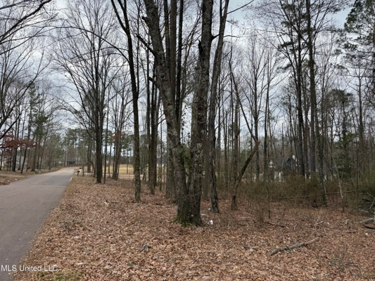 Residential Lot for Sale in Pearl, MS
