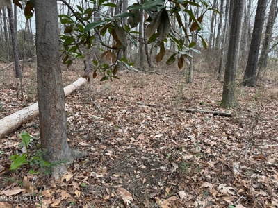 Residential Lot for Sale in Pearl, MS - image 17