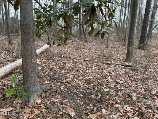Residential Lot for Sale in Pearl, MS