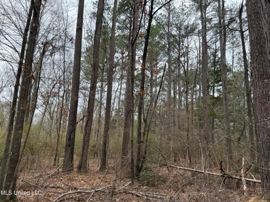 Residential Lot for Sale in Pearl, MS