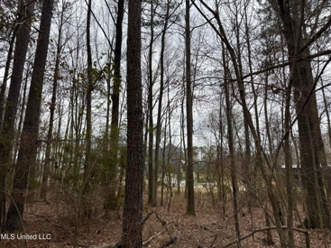 Listing 207