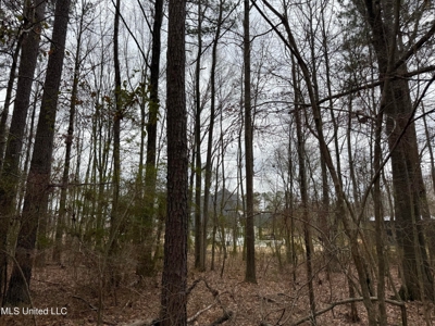 Residential Lot for Sale in Pearl, MS - image 3