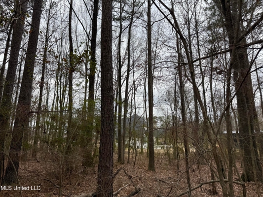 Residential Lot for Sale in Pearl, MS