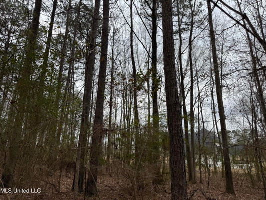 Residential Lot for Sale in Pearl, MS