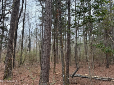Listing 207