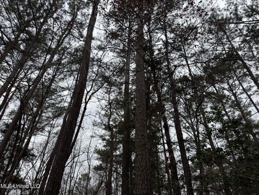 Residential Lot for Sale in Pearl, MS