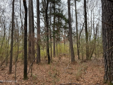Listing 207