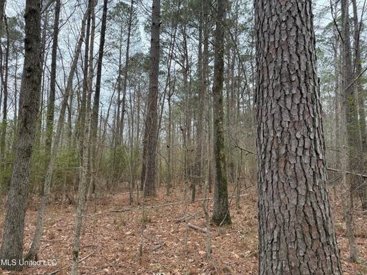 Residential Lot for Sale in Pearl, MS
