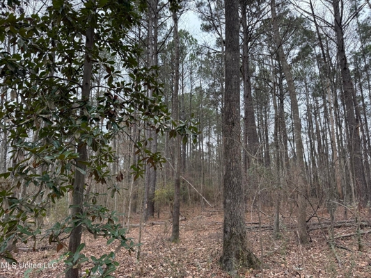 Residential Lot for Sale in Pearl, MS