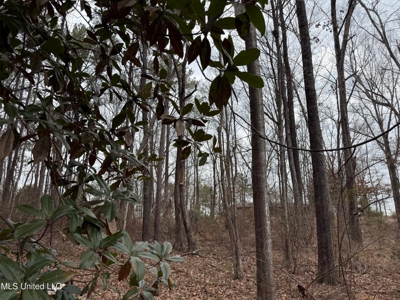 Residential Lot for Sale in Pearl, MS - image 21
