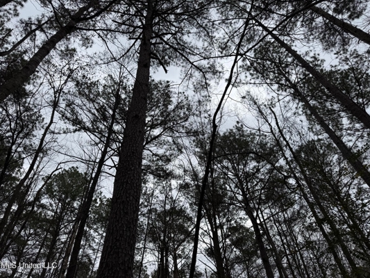 Residential Lot for Sale in Pearl, MS