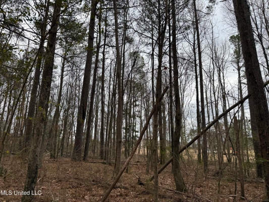 Residential Lot for Sale in Pearl, MS