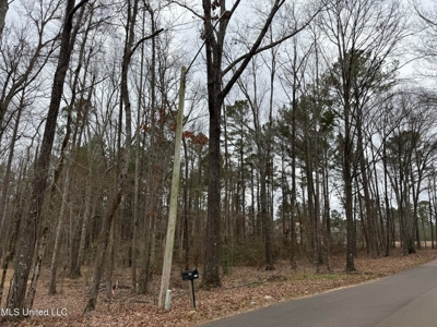 Residential Lot for Sale in Pearl, MS - image 18